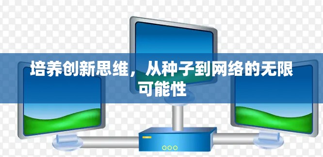 培养创新思维，从种子到网络的无限可能性