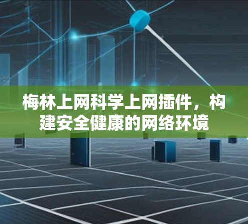 梅林上网科学上网插件，构建安全健康的网络环境