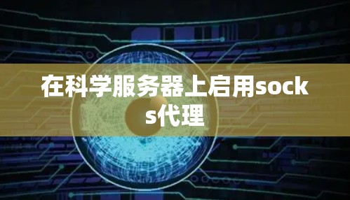 在科学服务器上启用socks代理 在科学服务器上启用socks代理