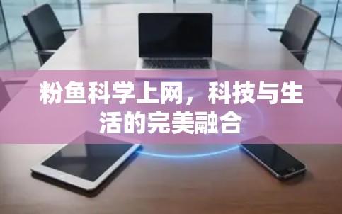 粉鱼科学上网，科技与生活的完美融合