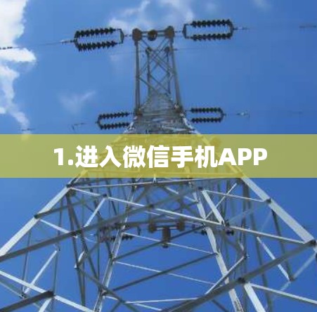 1.进入微信手机APP