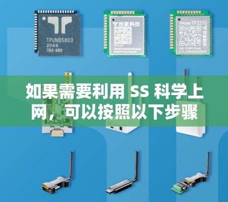 如果需要利用 SS 科学上网，可以按照以下步骤操作