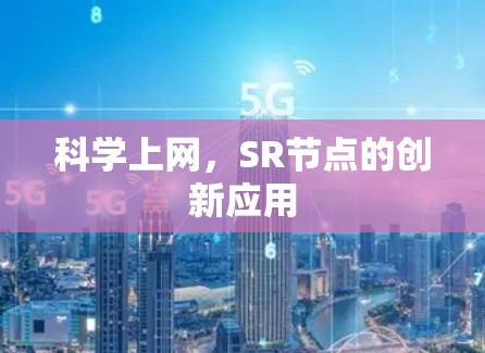 科学上网，SR节点的创新应用
