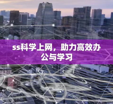 ss科学上网，助力高效办公与学习