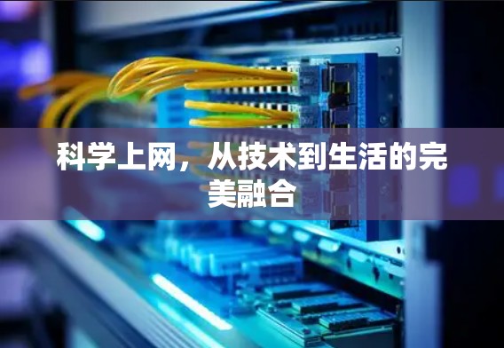 科学上网，从技术到生活的完美融合