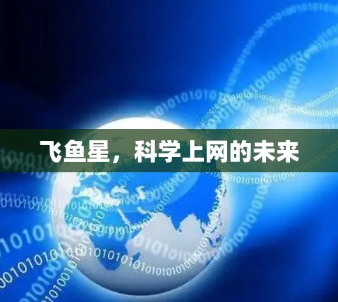 飞鱼星，科学上网的未来