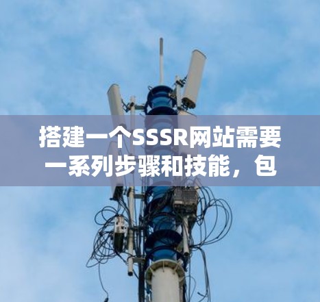 搭建一个SSSR网站需要一系列步骤和技能，包括服务器搭建、数据库管理、网络配置以及网站搭建工具的使用。以下是一个详细的步骤指南，帮助你完成这个过程