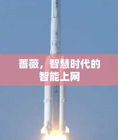 蔷薇，智慧时代的智能上网