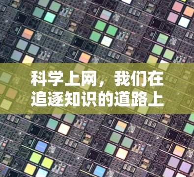 科学上网，我们在追逐知识的道路上，也在迷失自我