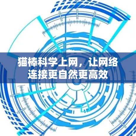 猫棒科学上网，让网络连接更自然更高效